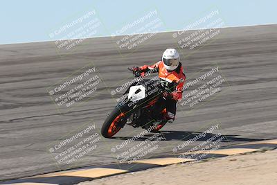 media/Oct-13-2025-Moto Forza (Mon) [[a66d839500]]/4-C Group/Session 2 (Bowl)/